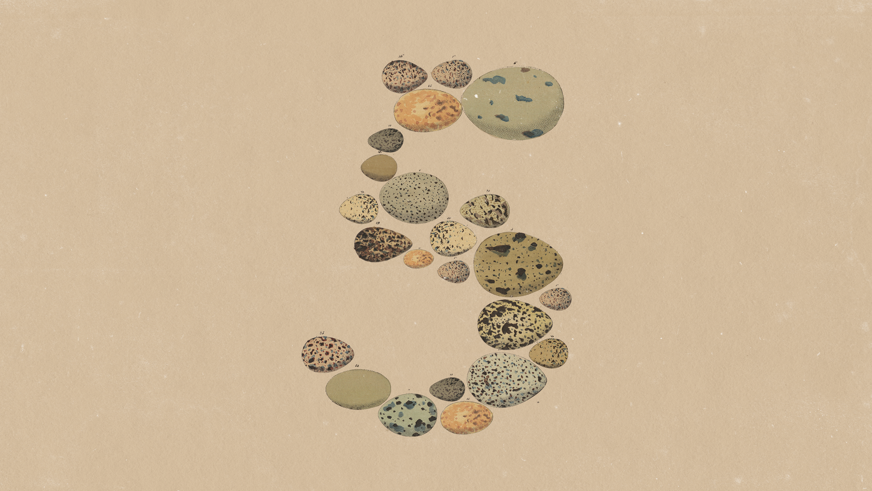 Claude Opus 5 직전 세대 공식 참고 이미지 - Claude Opus 5.5 이미지 아님