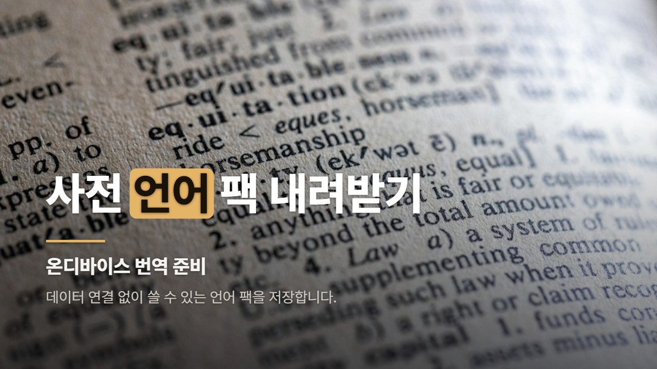 사전 언어 팩 내려받기