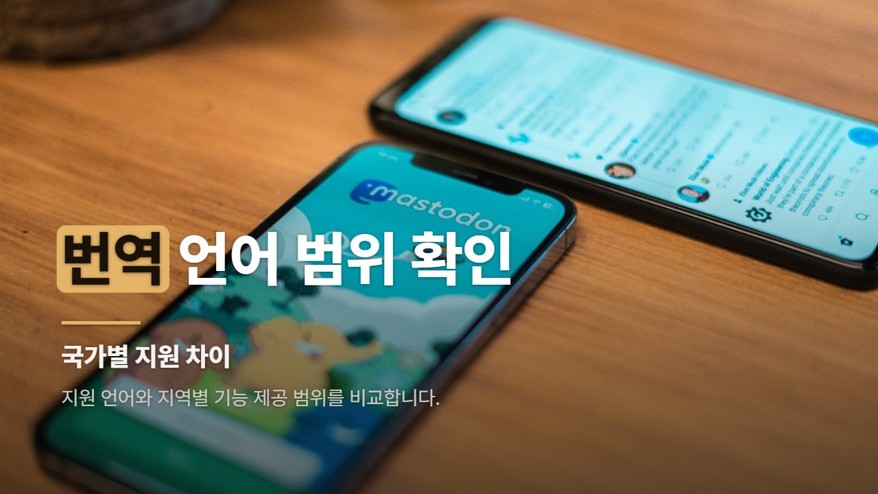 번역 언어 범위 확인