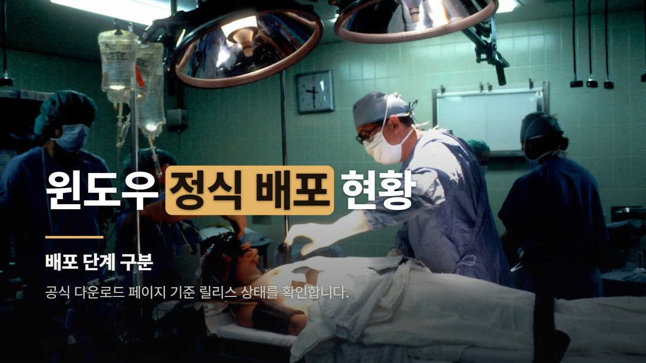 윈도우 정식 배포 현황