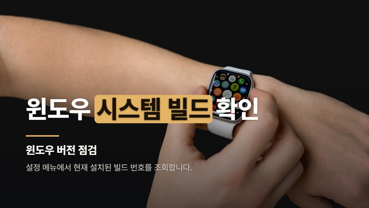 윈도우 시스템 빌드 확인