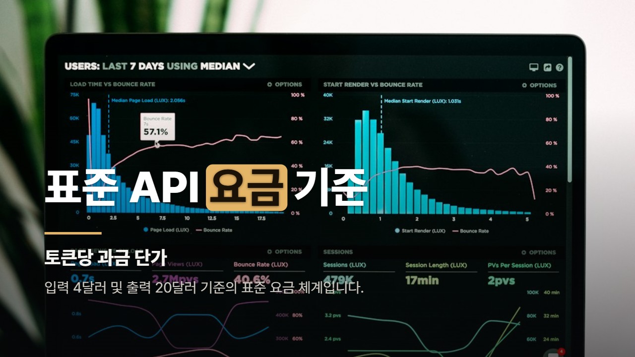 표준 API 요금 기준