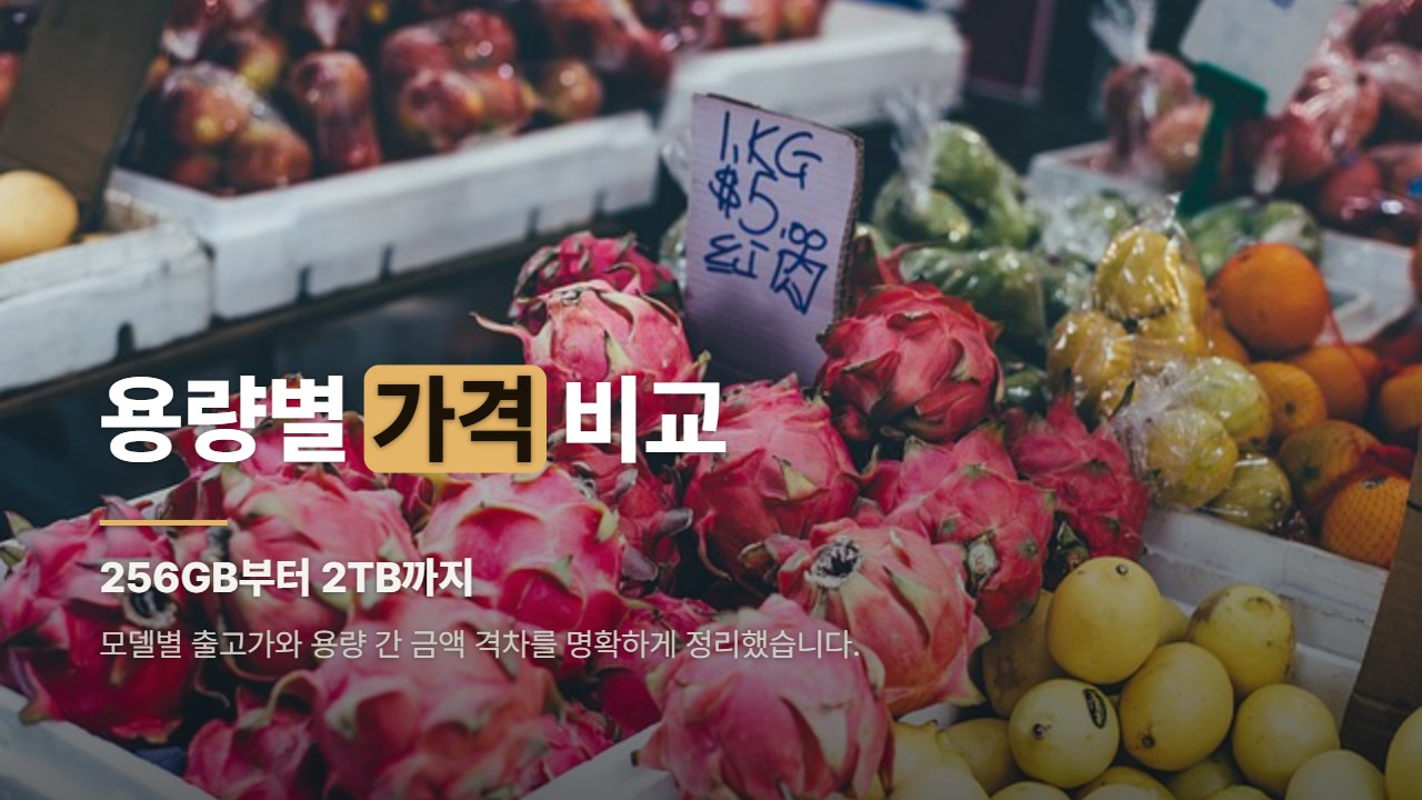 용량별 가격 비교