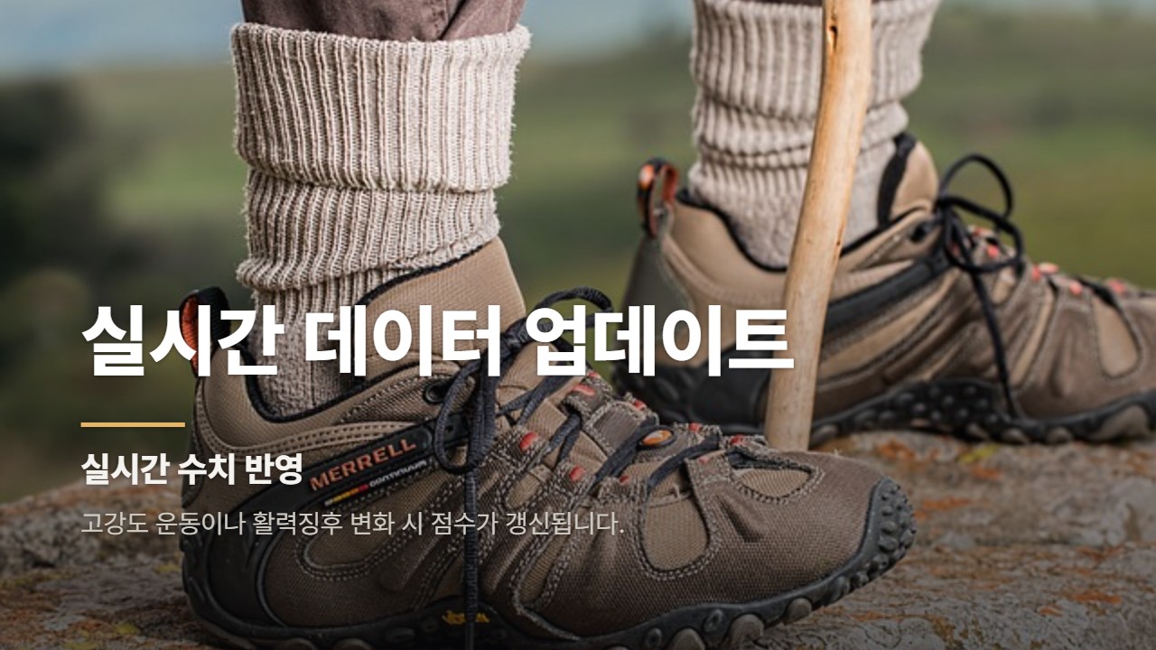 실시간 데이터 업데이트