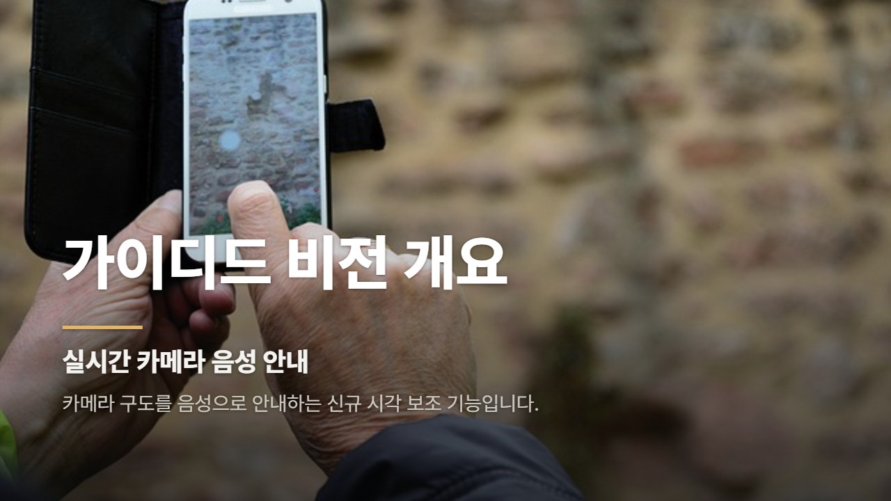 가이디드 비전 개요