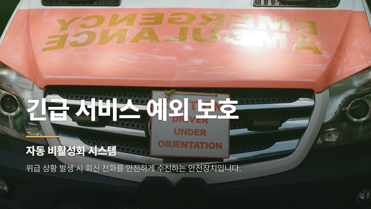 긴급 서비스 예외 보호