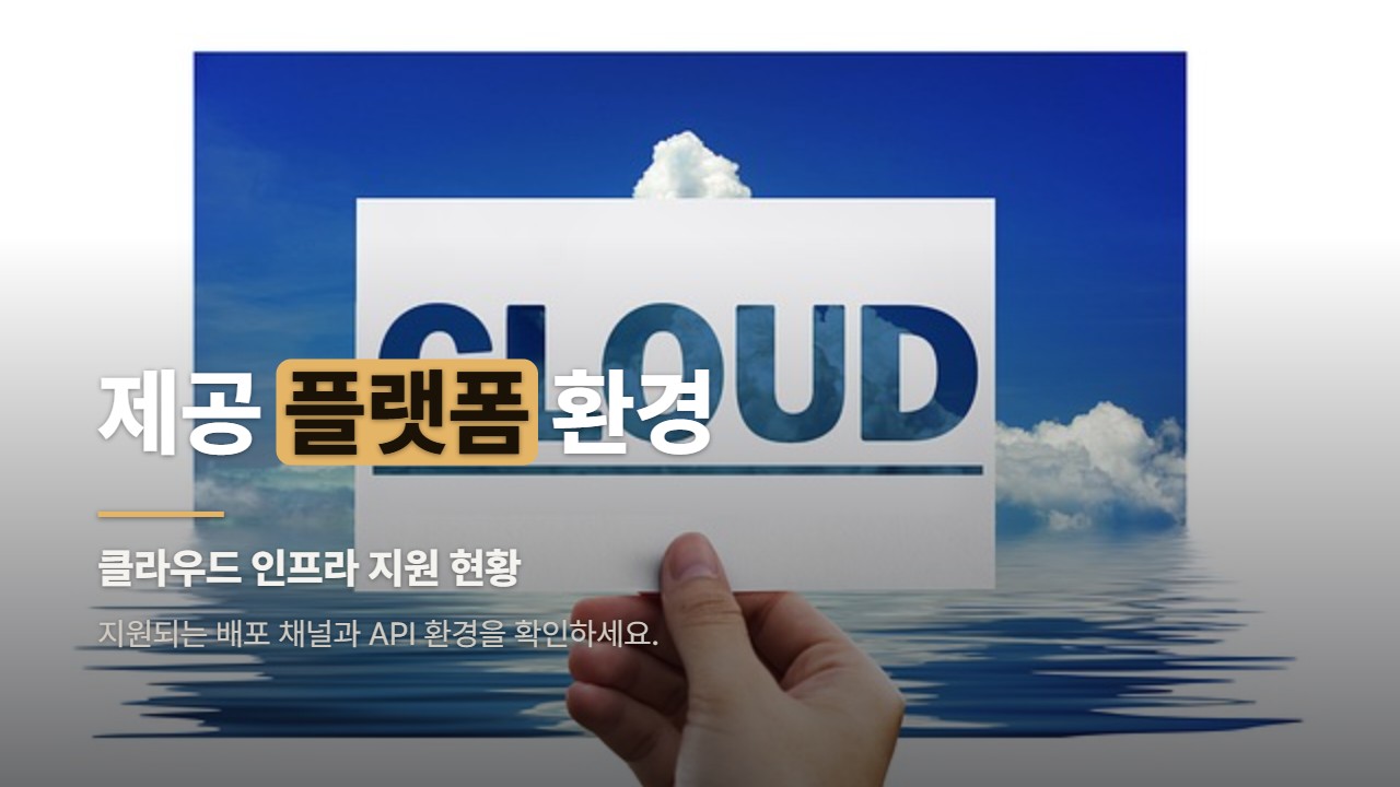 제공 플랫폼 환경