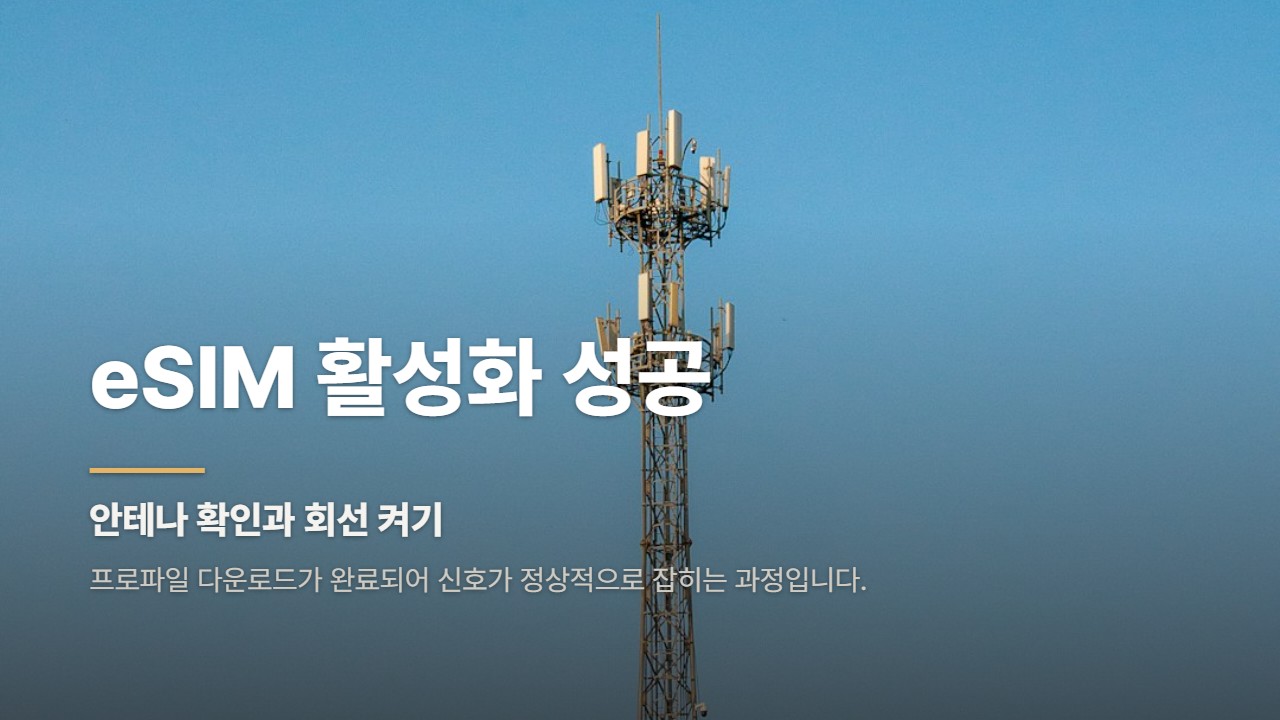 eSIM 활성화 성공