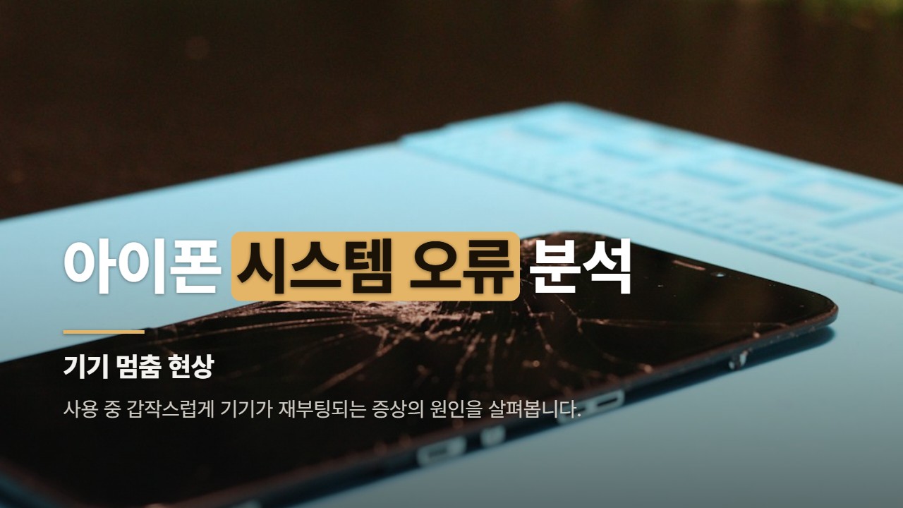 아이폰 시스템 오류 분석
