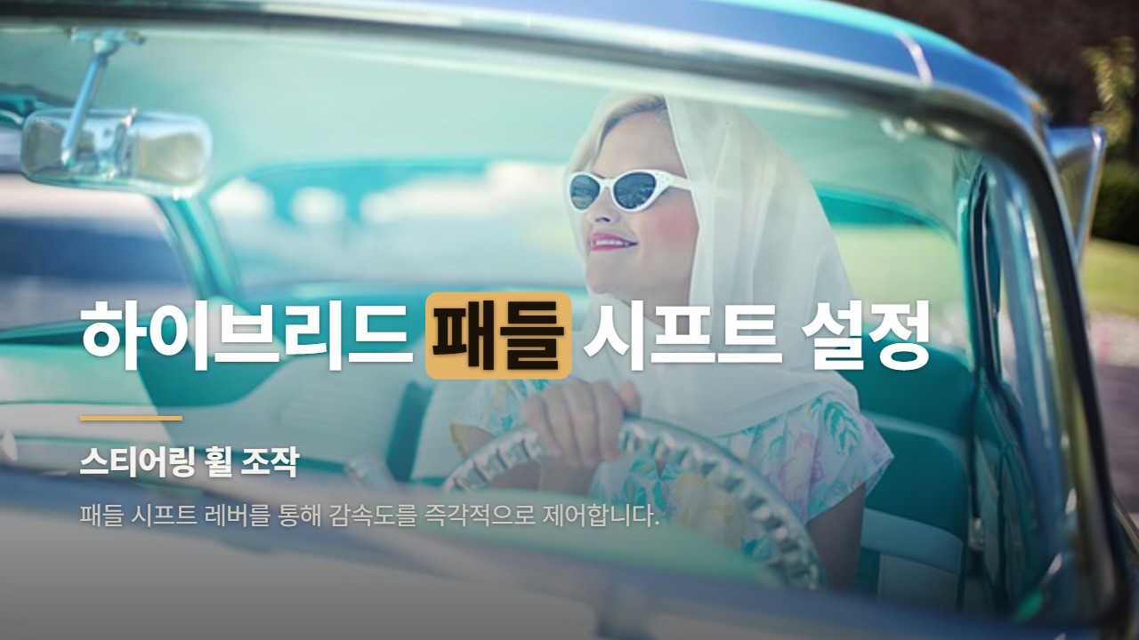 하이브리드 패들 시프트 설정