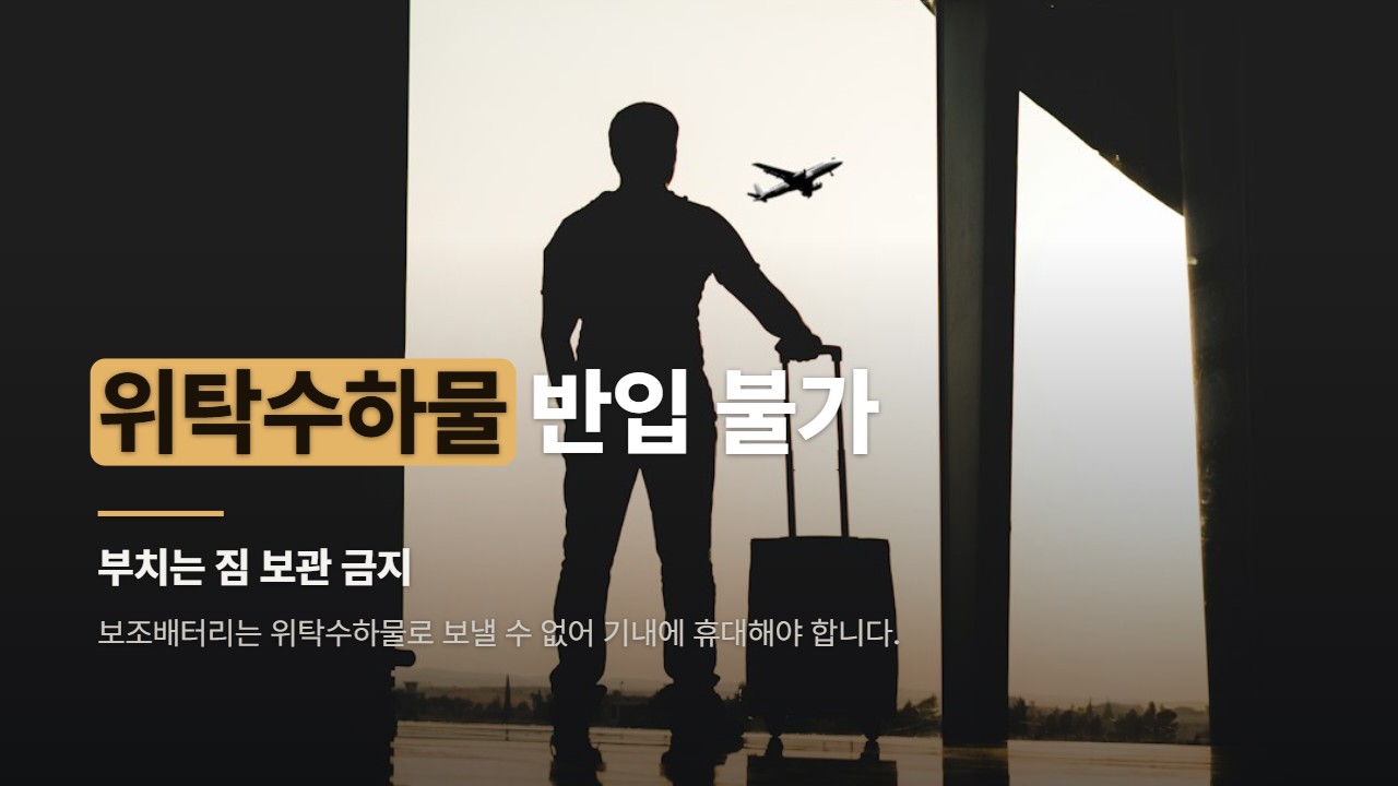 위탁수하물 반입 불가