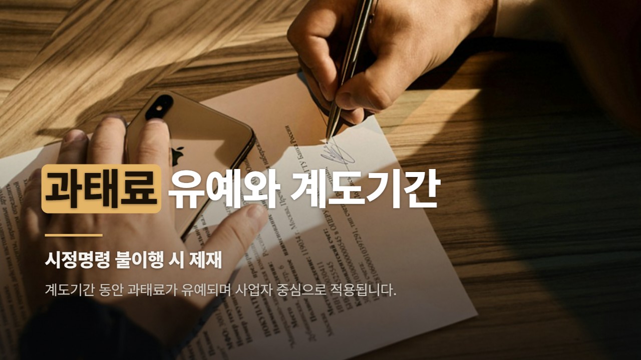 과태료 유예와 계도기간