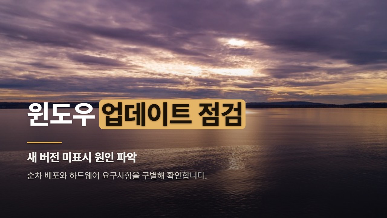 윈도우 업데이트 점검