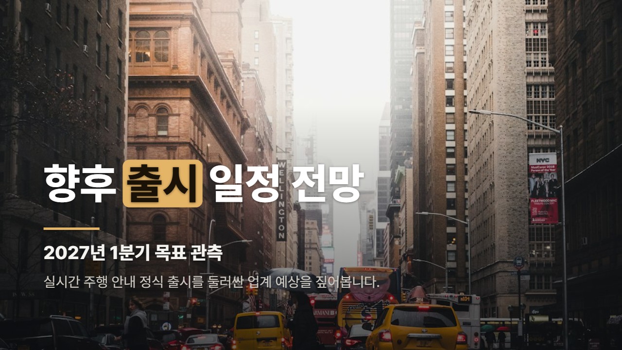 향후 출시 일정 전망