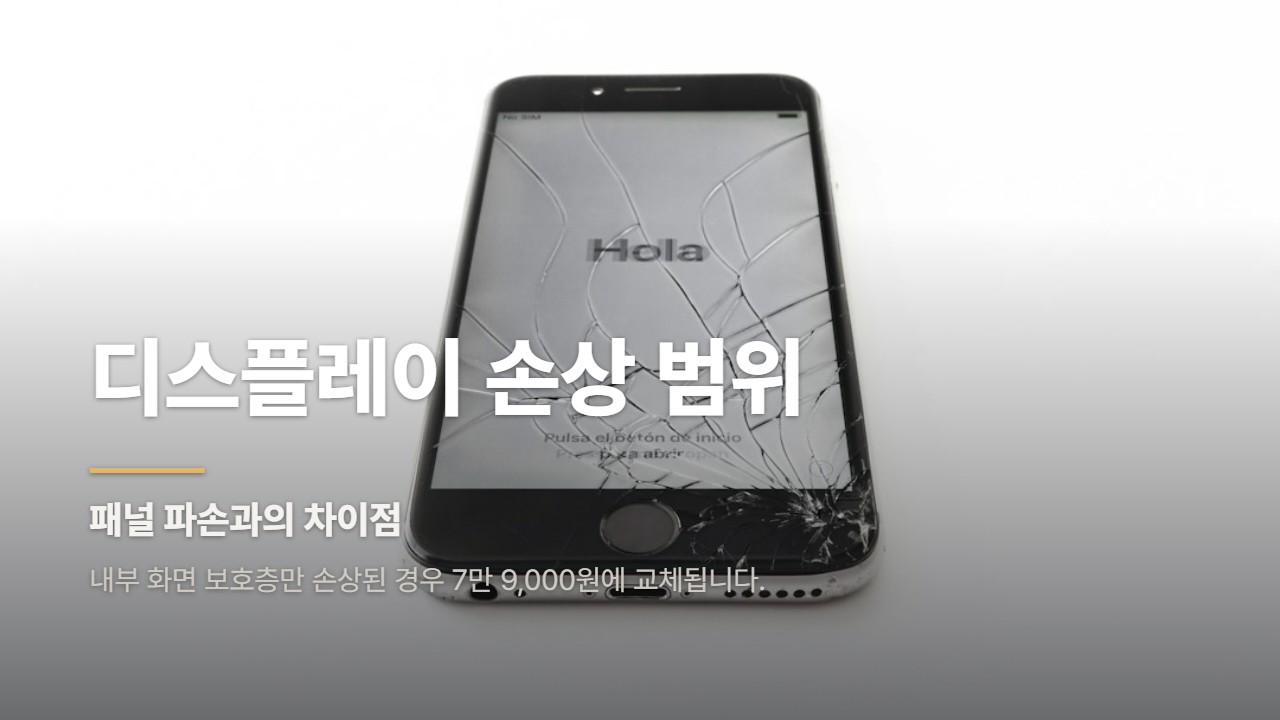 디스플레이 손상 범위