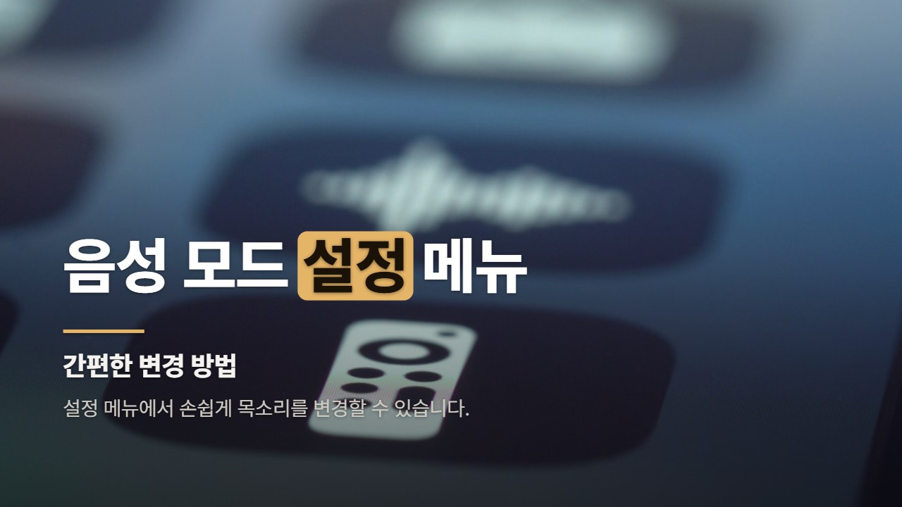 음성 모드 설정 메뉴