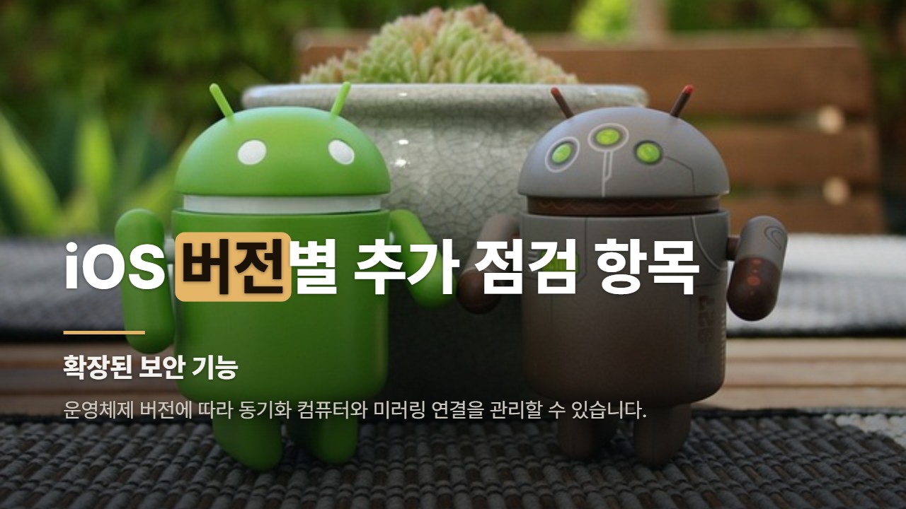iOS 버전별 추가 점검 항목