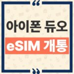 유심 쓰던 폰에서 아이폰 듀오 eSIM 개통 순서와 빠른 전송 방법 thumbnail_1791530338354